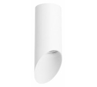 Накладной светильник Lightstar Rullo R43636