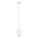 Подвесной светильник Lightstar Rullo RP336