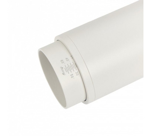 Светильник на штанге MyFar RayZoom MT0222-20W3K-S-W