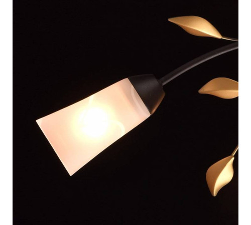 Потолочная люстра MW-Light Восторг 15 242015206