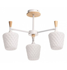 Люстра на штанге De City Дэла 6 635015003