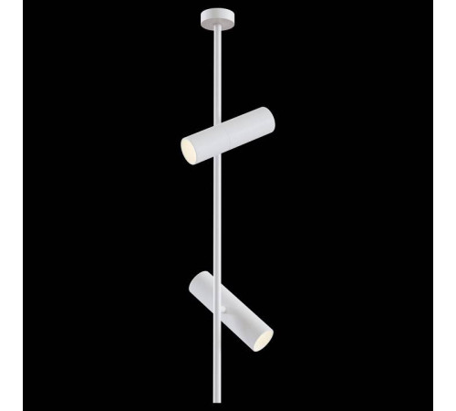 Светильник на штанге Maytoni Elti C021CL-02W