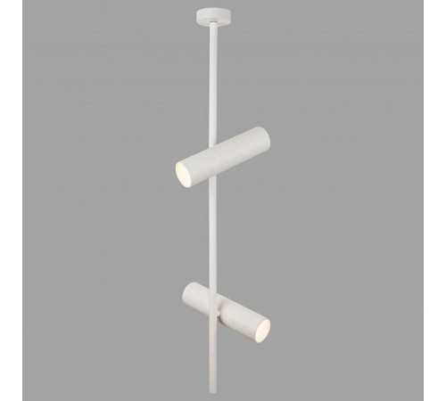 Светильник на штанге Maytoni Elti C021CL-02W