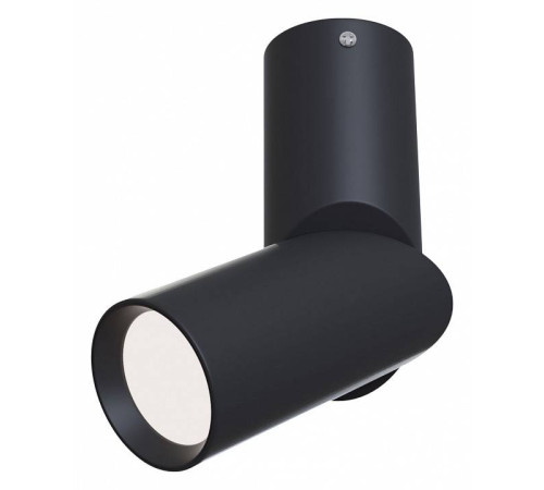 Спот Maytoni Dafne C027CL-L10B