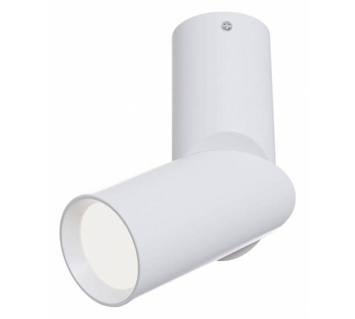 Спот Maytoni Dafne C027CL-L10W