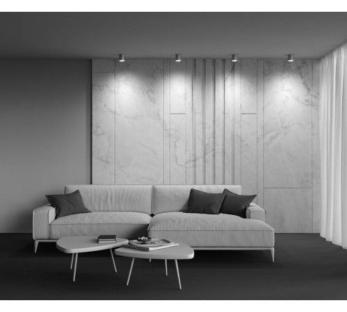 Накладной светильник Maytoni Polar C088CL-GX53-S