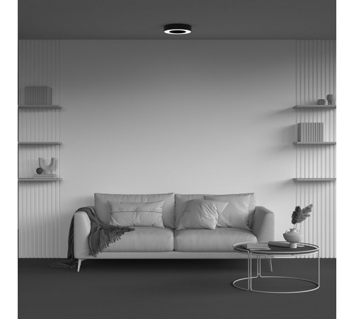 Накладной светильник Maytoni Lua C093CL-24W3K-B