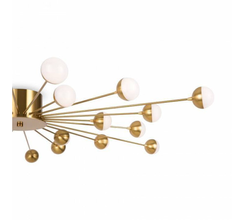 Потолочная люстра Freya Celebrity FR5242CL-24BS