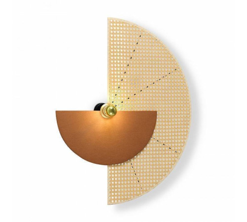 Накладной светильник Freya Carry FR5487WL-01G4