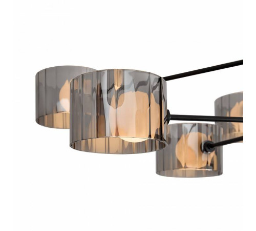 Люстра на штанге Freya Flight FR5544CL-10B