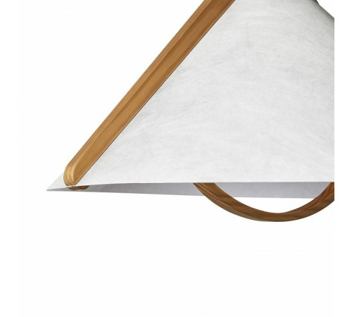 Подвесной светильник Freya Umbra FR5554CL-01T