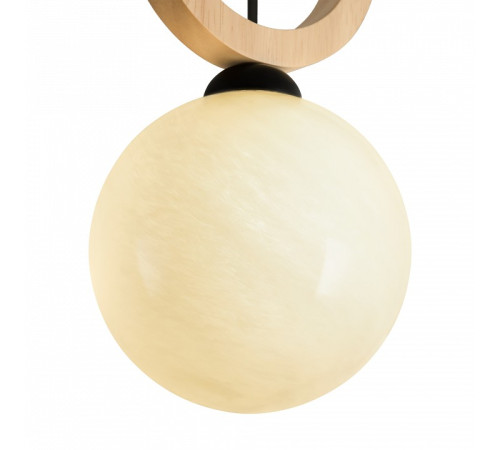 Подвесной светильник Freya Irisa FR5593PL-01B