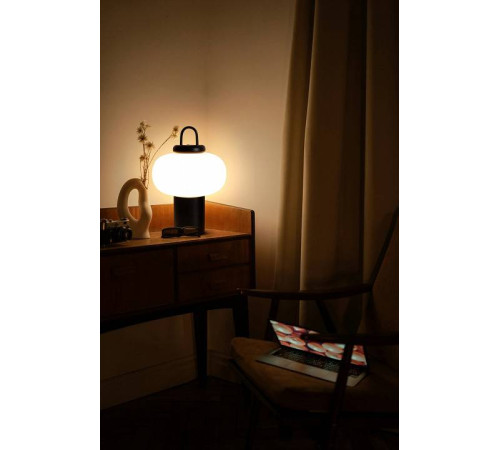 Настольная лампа декоративная Freya Take FR6175TL-L10B