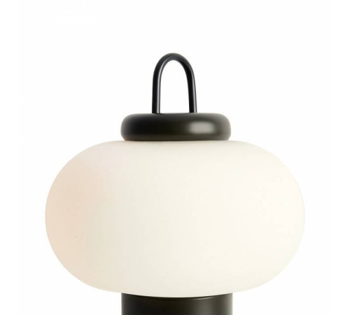 Настольная лампа декоративная Freya Take FR6175TL-L10B