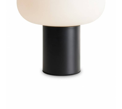 Настольная лампа декоративная Freya Take FR6175TL-L10B