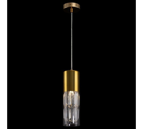 Подвесной светильник Maytoni Wonderland MOD313PL-01G