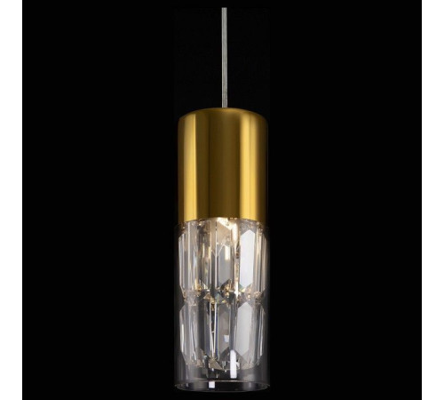 Подвесной светильник Maytoni Wonderland MOD313PL-01G