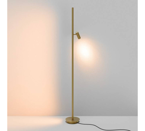 Торшер Maytoni Thin MOD395FL-L28BS3K