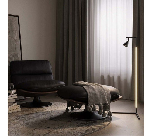 Торшер Maytoni Stripe MOD489FL-L20B3K