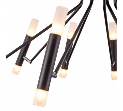 Потолочная люстра Maytoni Vigo MOD620CL-16B