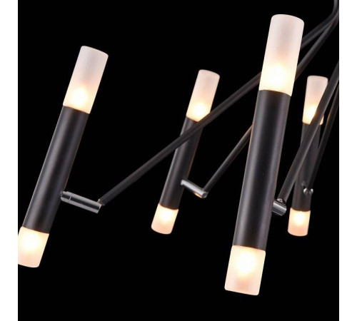 Потолочная люстра Maytoni Vigo MOD620CL-16B