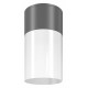 Потолочный светильник Maytoni Willis 1xE27 серый O418CL-01GR