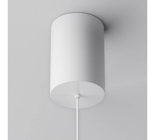 Подвесной светильник Maytoni Plato P076PL-L12W3K-W