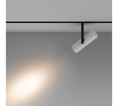 Светильник на штанге Maytoni Elti TR005-2-12W3K-BW