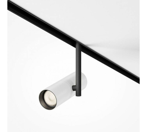 Светильник на штанге Maytoni Elti TR005-2-12W3K-BW