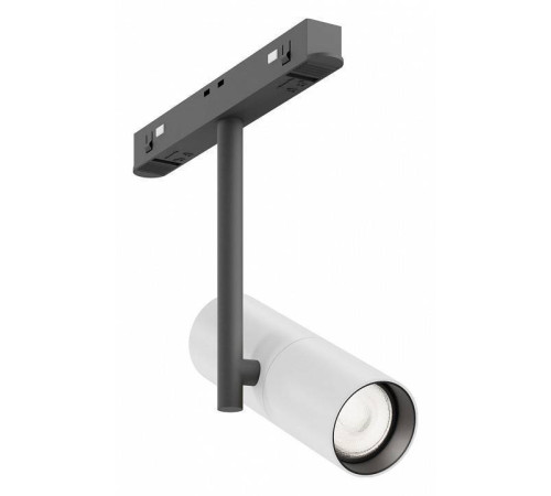 Светильник на штанге Maytoni Elti TR005-2-12W4K-BW