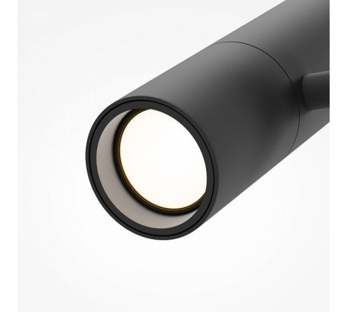 Светильник на штанге Maytoni Elti TR005-4-12W-DS-B