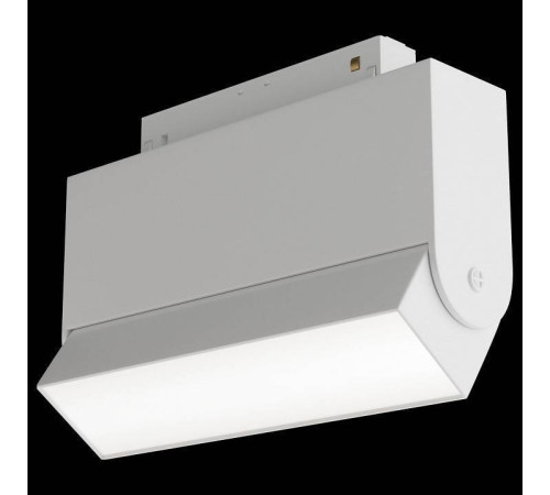 Светильник на штанге Maytoni BASIS TR013-2-10W3K-W