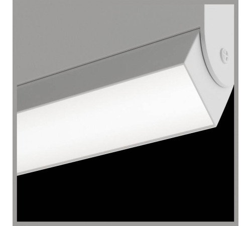 Светильник на штанге Maytoni BASIS TR013-2-10W3K-W