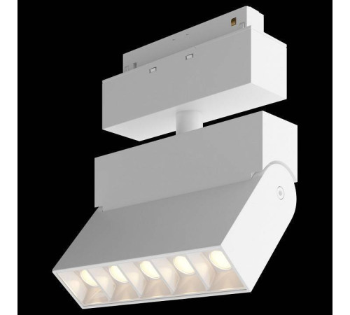 Светильник на штанге Maytoni Points TR015-2-10W3K-W