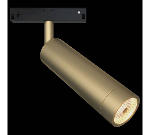 Светильник на штанге Maytoni Technical Track TR019-2-7W3K-MG
