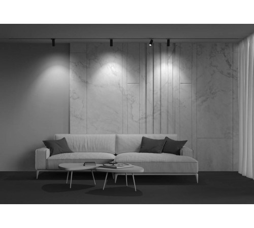 Светильник на штанге Maytoni Focus Zoom TR021-1-124K-Z-B