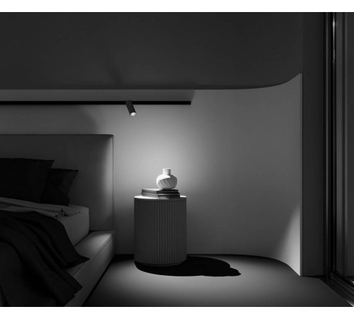 Светильник на штанге Maytoni Focus LED TR032-2-12W2.7K-M-B