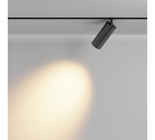 Светильник на штанге Maytoni Focus LED TR032-2-20W2.7K-M-B