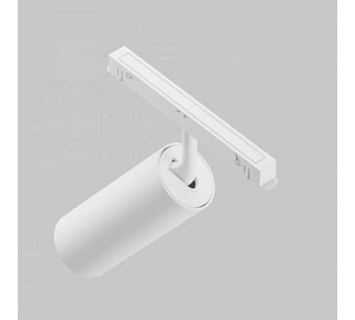 Светильник на штанге Maytoni Focus LED TR032-2-20W3K-S-W