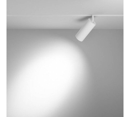 Светильник на штанге Maytoni Focus LED TR032-2-20W3K-S-W