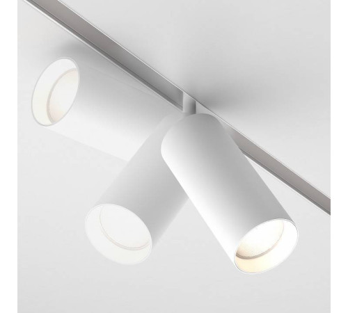 Светильник на штанге Maytoni Focus LED TR032-2-20W4K-S-W