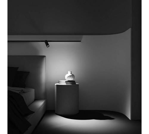 Светильник на штанге Maytoni Focus LED TR032-4-12W3K-M-DS-BBS