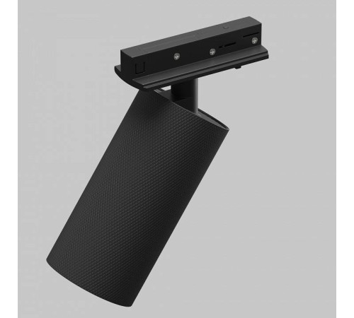 Светильник на штанге Maytoni Artisan TR089-1-GU10-BB