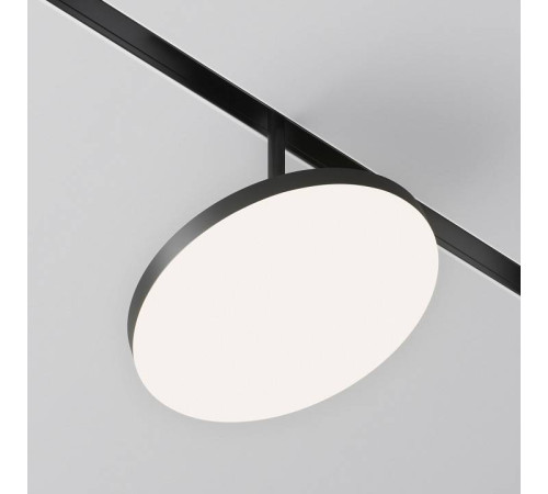 Светильник на штанге Maytoni Plato TR131-2-15W4K-B