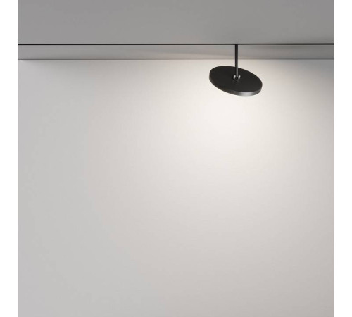 Светильник на штанге Maytoni Plato TR131-2-15W4K-B