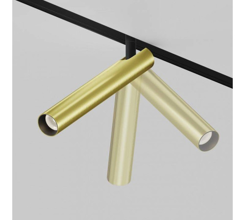 Светильник на штанге Maytoni Focus T TR141-2-6W3K-M-BS