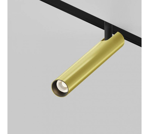 Светильник на штанге Maytoni Focus T TR141-2-6W3K-M-BS