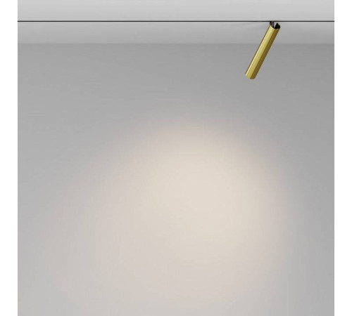 Светильник на штанге Maytoni Focus T TR141-2-6W3K-M-BS