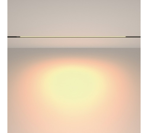 Накладной светильник Maytoni Technical Basis TR231-2-15W3K-B