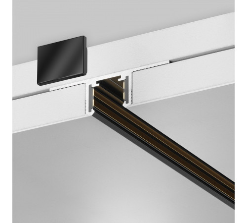 Трек встраиваемый Maytoni Technical TRX239-422.12B